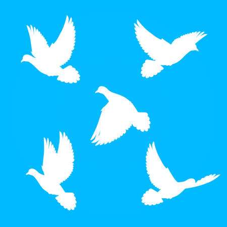 Five silhouette  doves fly in  blue skyのイラスト素材