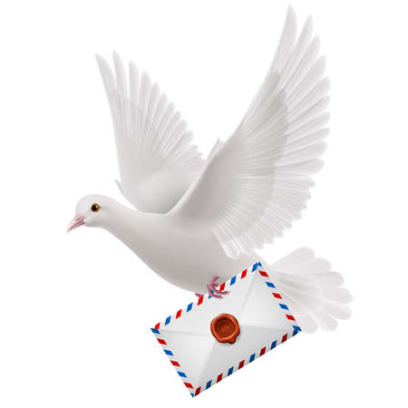 White pigeon fly with mail in beakのイラスト素材
