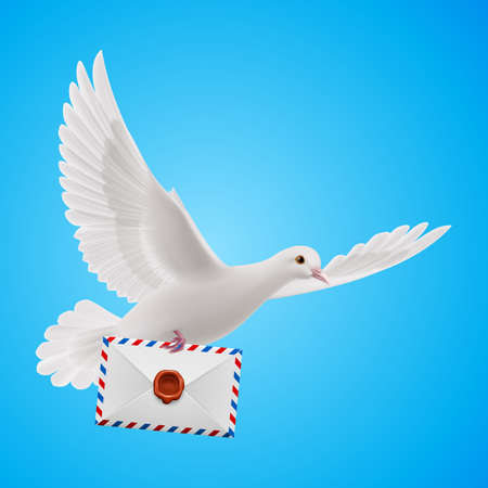 Pigeon fly with mail in blue skyのイラスト素材