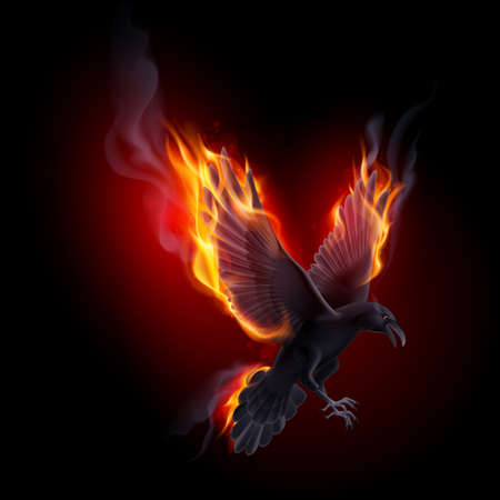 Black raven flying in the flame on the black backgroundのイラスト素材