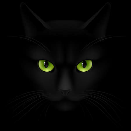 Black cat with green eyes looking out of the darknessのイラスト素材