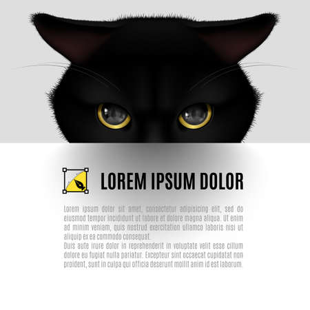 Head of black cat poster with textのイラスト素材
