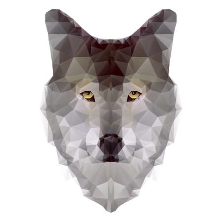 Head of wolf triangle isolated on white background