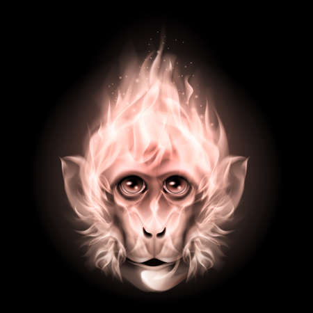 Monkey fire head isolated on black backgroundのイラスト素材