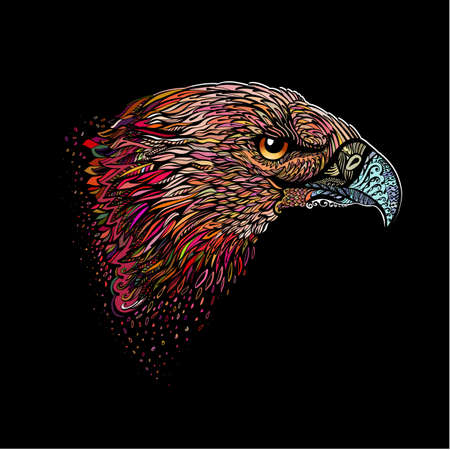 Stylized Head of Eagle. Hand Drawn Doodle Illustration in Color on Blackのイラスト素材