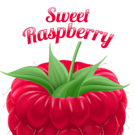 Poster Sweet Raspberry. Fruit and Dessert. Space for Textのイラスト素材