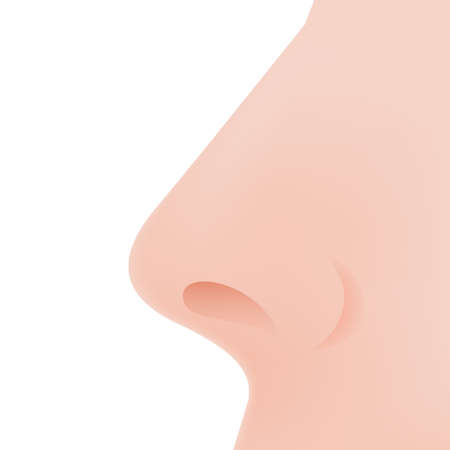 Nose Icon in Flat Design on White Backgroundのイラスト素材