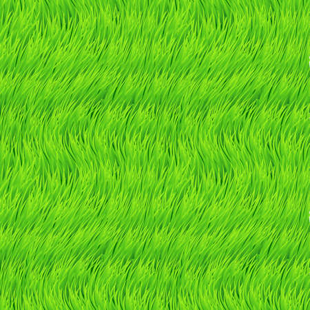 Fresh Grass Seamless. Beautiful Fresh Lawn Grass Texture. Wave Designのイラスト素材