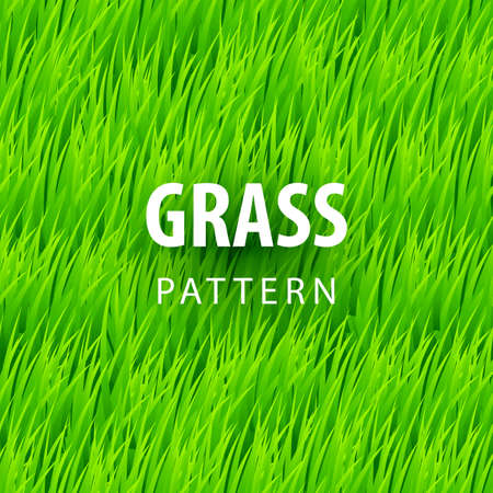 Fresh Grass Seamless. Beautiful Fresh Lawn Grass Texture for Designのイラスト素材