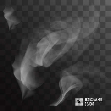 Realistic Smoke or Fog on Transparent Background. Cool Template for Creative Ideasのイラスト素材