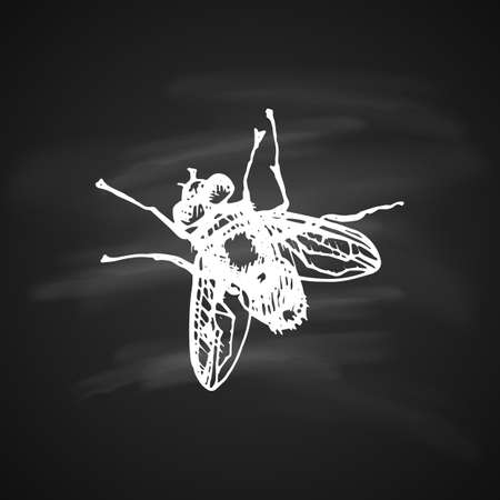 The white silhouette of the Fly on black background. Icon silhouette illustration.のイラスト素材