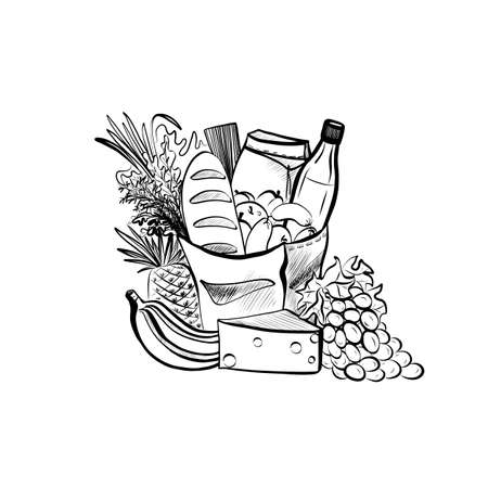 Sketch Illustration of Foods and Paper Shopping Bag. Hand Drawn Icon on White Backgroundのイラスト素材