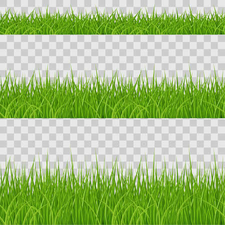 Set of Green Grass Elements on Transparent Background.のイラスト素材