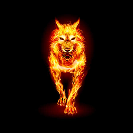 Aggressive Fire Woolf. Concept Image of a Red Wolf and Flame on a Blackのイラスト素材