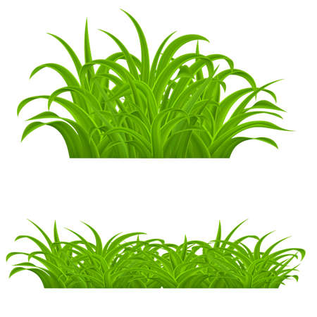 Fresh Green Grass Elements for Spring Design. Illustration on White Background. Grass with Refractions, Natural Border for Decoration in Your Worksのイラスト素材