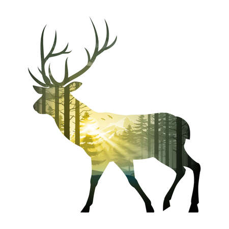 Illustration simulating a double exposure of a walking red deer and a dense coniferous forest.のイラスト素材