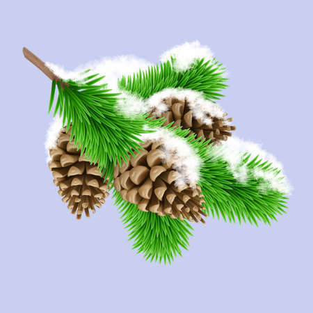 Frozen Green Pine Branche in the Snow with Three Pine Cones. Design Element for Christmas Cards on Violet Backgroundのイラスト素材