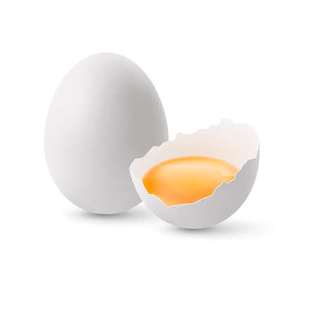 Fresh Organic Chicken Eggs on White Background. Broken and Whole White Chicken Eggsのイラスト素材