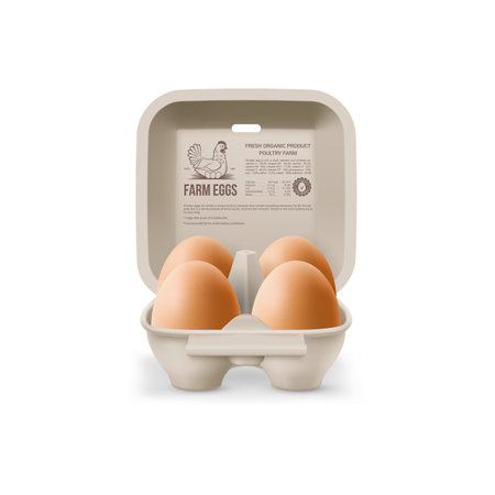 Fresh Organic Brown Chicken Eggs in Open Carton Pack, or Egg Container Isolated on White Backdrop. Four Large Eggs from Eggs Farm in Brand Packのイラスト素材
