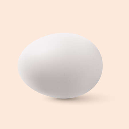 Organic Chicken Egg. Realistic Chicken Egg with Shadow Effectsのイラスト素材