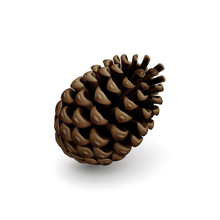 Brown Dry Pine Cone. Single Decorative Woody Fruit of a Conifer Tree. Christmas Decoration, Holiday Decorative Concept on White Backdropのイラスト素材