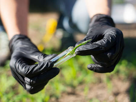 Hand with black glove stirring in the ground and grassの写真素材