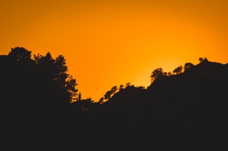 Silhouetted forest and rugged hill stand out against a glowing golden-orange sunset sky in Zakynthos, Greece. A peaceful, moody landscape with strong visual contrast.の写真素材
