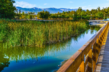 Lake with reeds and wooden bridge at Tritsis Park, Ilion, Greece.の写真素材