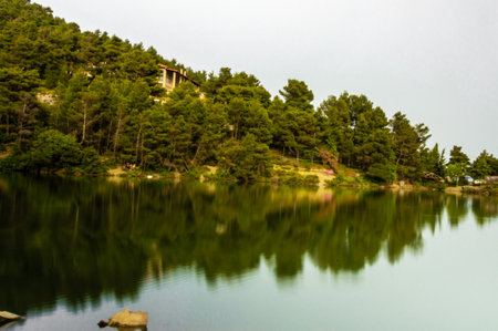 Pine forest reflection in Beletsi Lake, Attica, Greece with hillside houses.の写真素材