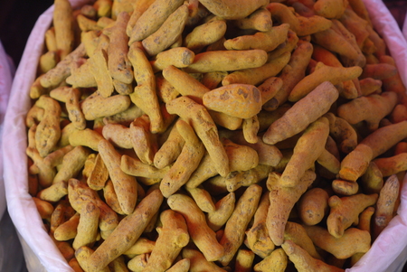 turmeric - the spice, seasoning to food improving its taste and colorの写真素材