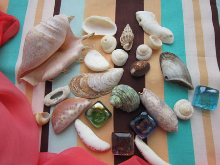cockleshells and color glasses on a striped background