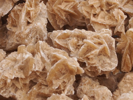 exotic souvenir from the Sahara Desert - a desert roseの写真素材