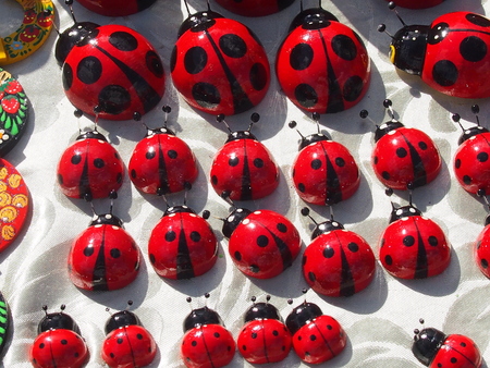 magnetics on the refrigerator in the form of ladybugsの写真素材
