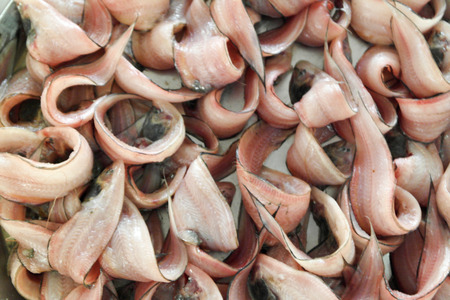 Small and flat most tasty small fish of the Indian Ocean