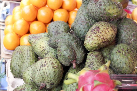 Fresh-gathered rich harvest of sugar scaly applesの写真素材