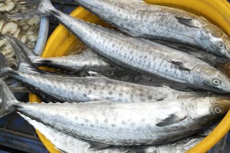 Rich choice of fresh seafood in the asian marketの写真素材