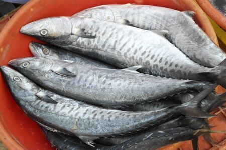 Rich choice of fresh seafood in the asian marketの写真素材