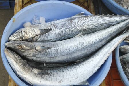 Rich choice of fresh seafood in the asian market
