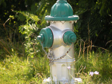 Fire Hydrantの写真素材