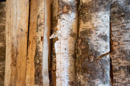 stacked firewood from birch.A tree with cracks and white dry wood bark.Firewood for the winter prepared for the fireplaceの写真素材