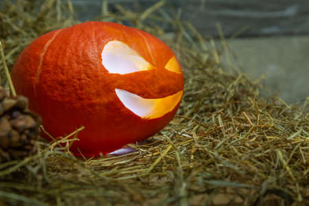 Halloween pumpkin in smoke stands in hay on a wooden stand. Near forest cones.の写真素材