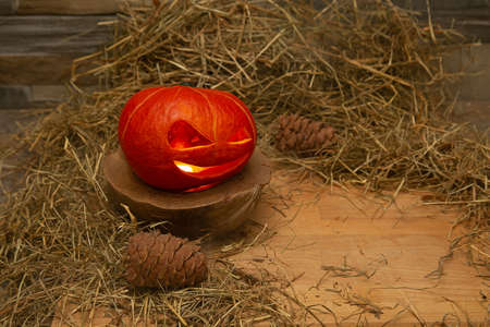 Halloween pumpkin stands in hay on a wooden stand. Near forest cones.の写真素材
