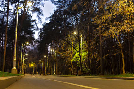 Road in the park at night. Alley with beautiful lanterns.の写真素材