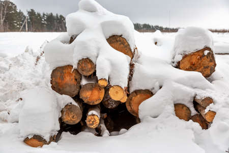 Deforestation. Lumber harvesting. Logs under snow. Stock of wood in forest. Winter snowdriftsの写真素材