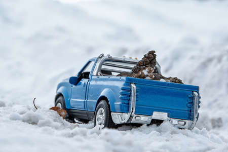 A toy. Blue pickup truck in snowdrift on the winter road. Carrying fir cones in the back of a car body. Winter.の写真素材