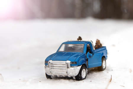 Blue toy pickup truck in winter forest on the road with open door.の写真素材