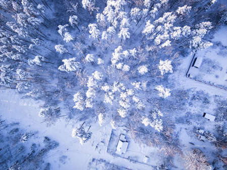 Aerial view on winter forest. Top of the trees in snow after heavy snowfall. Snowy village and road.の写真素材
