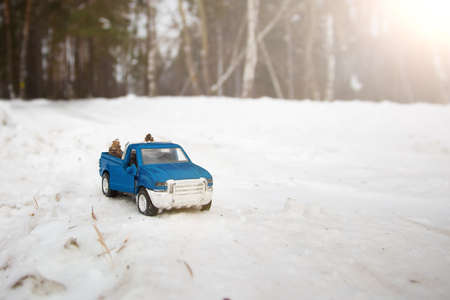 A toy. Blue pickup truck in winter forest with open door on the road. Carrying fir cones in the back of a car bodyの写真素材