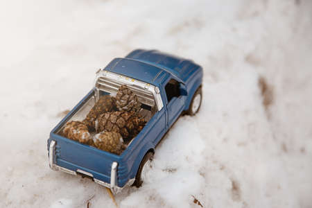 A toy. Blue pickup truck in winter forest on the road. Top view. Carrying fir cones in the back of a car bodyの写真素材