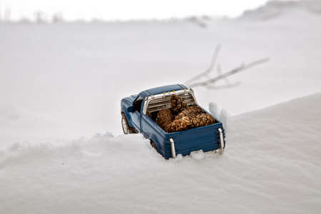 Blue toy pickup truck in sawmill. Stuck at snowdrift and sawdust. Carrying fir cones in the back of a car bodyの写真素材